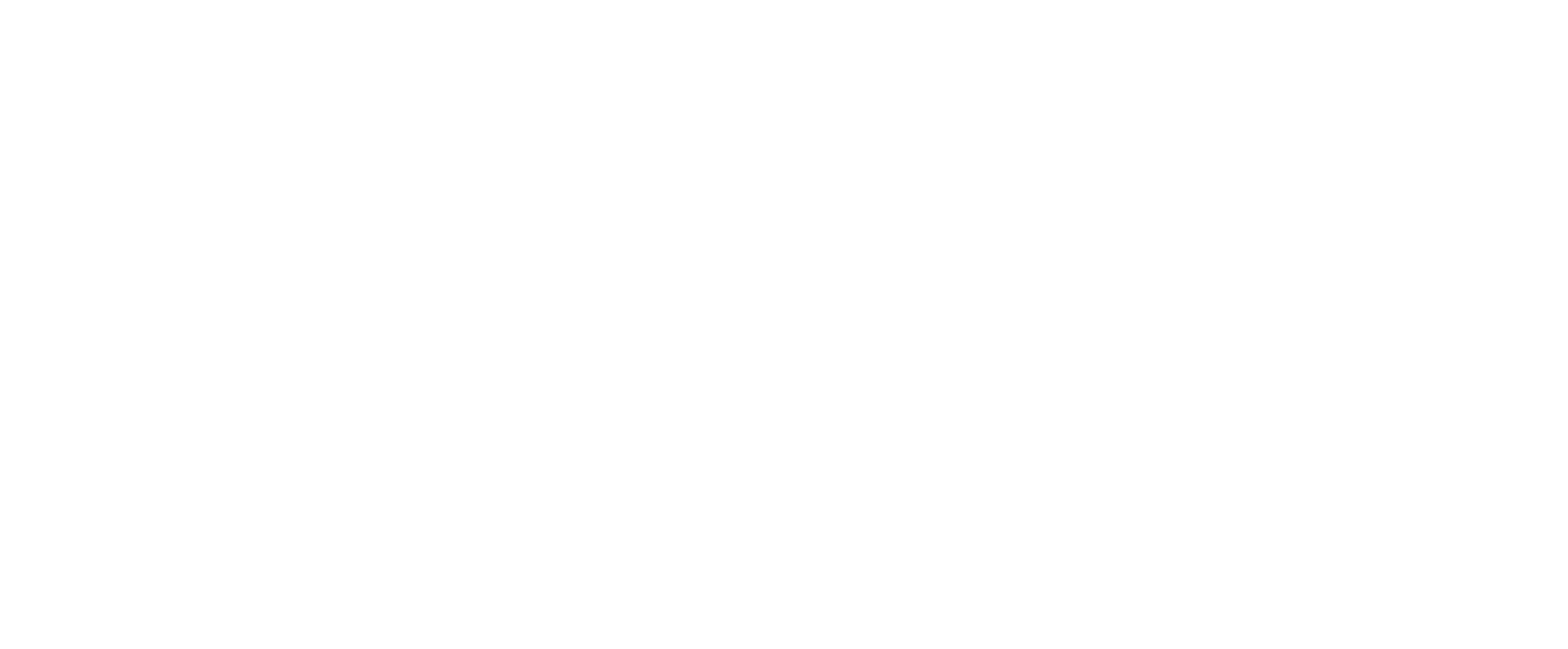 dl_horz_white (1)